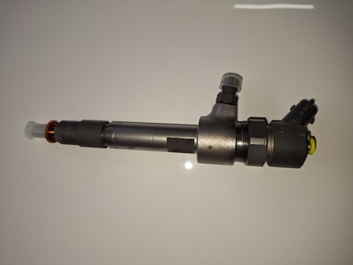 Gereviseerde Bosch commonrail injector met inruil oude 0445110019