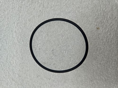 O-Ring 1900210358