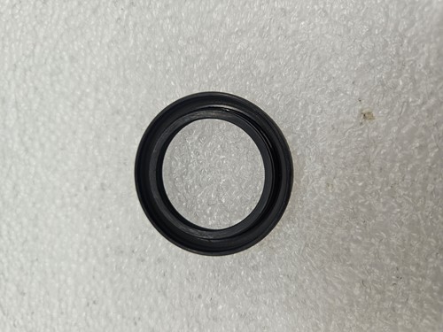 Asafdichtring 2410283010